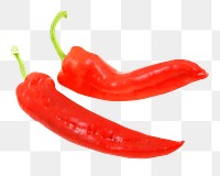 Red chili pepper png sticker, transparent background