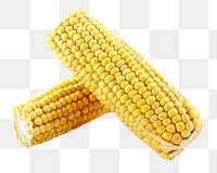 Corn png vegetable sticker, transparent background