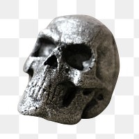 PNG metal skull, collage element, transparent background