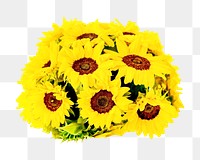 Sunflower png sticker, transparent background
