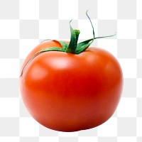 Tomato vegetable png sticker, transparent background