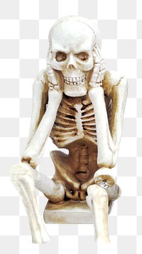 Png hear no evil skeleton sticker, transparent background