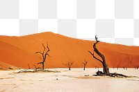 Desert landscape border png, transparent background