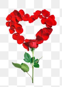 Rose heart png flower png sticker, transparent background