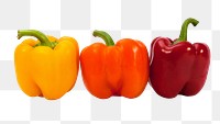 Bell pepper vegetable png, transparent background