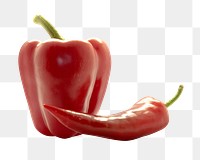 Red chilli pepper png, transparent background