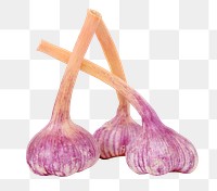 Red garlic vegetable png sticker, transparent background