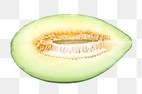 Melon fruit png sticker, transparent background