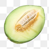 Green melon fruit png sticker, transparent background