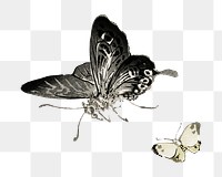 Butterfly png sticker, vintage animal illustration transparent background. Remixed by rawpixel.