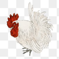 Japanese Bantam png sticker, vintage animal illustration transparent background. Remixed by rawpixel.