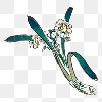 Bunchflower Daffodil png illustration sticker, transparent background. Remixed by rawpixel.