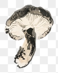 Shitake mushroom png  illustration sticker, transparent background. Remixed by rawpixel.