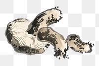 Shitake mushroom png  illustration sticker, transparent background. Remixed by rawpixel.