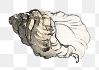 Conch png sticker, vintage animal illustration transparent background. Remixed by rawpixel.
