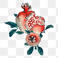 Vintage pomegranate png fruit sticker, transparent background. Remixed by rawpixel.