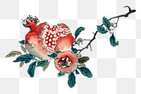 Vintage pomegranate png fruit sticker, transparent background. Remixed by rawpixel.