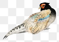 Peregrine falcon png sticker, vintage animal illustration transparent background. Remixed by rawpixel.