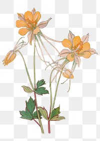 Columbine flower png illustration  sticker, transparent background. Remixed by rawpixel.