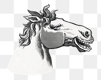 Laughing horse png sticker, transparent background