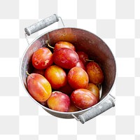 Plums in pot png sticker, transparent background