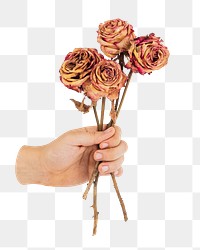 Png hand holding dried roses  sticker, transparent background