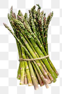 PNG Asparagus tied in a bundle, collage element, transparent background