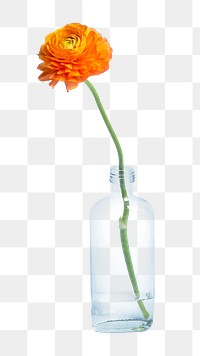 orange flower vase png, transparent background