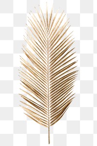 Gold palm leaf png sticker, botanical, transparent background