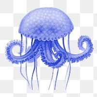 Blue jellyfish png sticker, transparent background