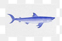 Shark poster png sticker, transparent background