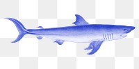 Blue shark png sticker, transparent background