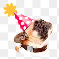 Party pug dog png sticker, transparent background