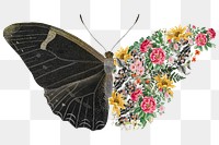 Black floral butterfly, creative remix