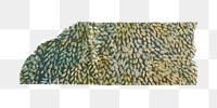 Leaf pattern png washi tape sticker, Henri Rousseau's vintage element, transparent background, remixed by rawpixel
