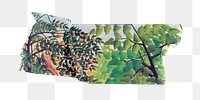 Colorful leaf png washi tape sticker, Henri Rousseau's vintage element, transparent background, remixed by rawpixel