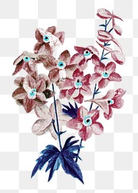 Pink vintage flowers png sticker, transparent background