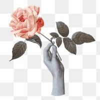 Hand holding rose png sticker, transparent background
