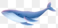 Humpback whale png sticker, animal illustration, transparent background