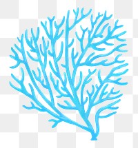 Blue coral png sticker, nature illustration, transparent background