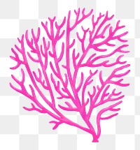 Pink coral png sticker, nature illustration, transparent background