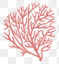 Pastel pink coral png sticker, nature illustration, transparent background