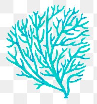 Turquoise coral png sticker, nature illustration, transparent background