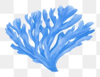 Blue coral png sticker, nature illustration, transparent background