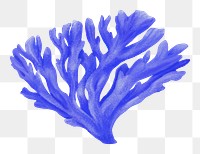 Blue coral png sticker, nature illustration, transparent background