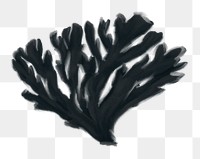 Black coral png sticker, nature illustration, transparent background