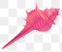 Pink murex shell png sticker illustration, transparent background