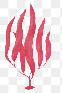 Red algae png sticker, nature illustration, transparent background