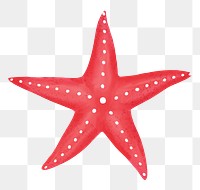 Red starfish png sticker, animal illustration, transparent background