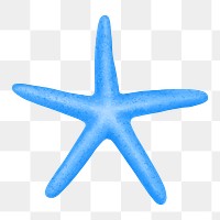 Blue starfish png sticker, animal illustration, transparent background